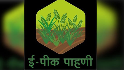 कोल्हापूर: ई-पीक पाहणी नोंदीत अडथळ्यांची शर्यत 