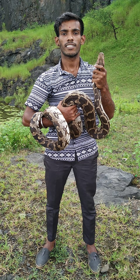 python snake