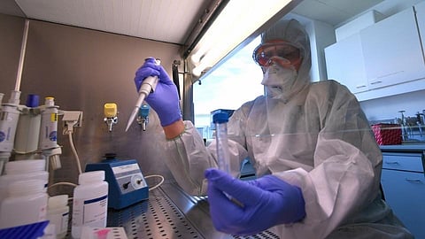 RT PCR 