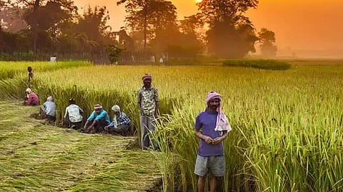 Crop Crises News