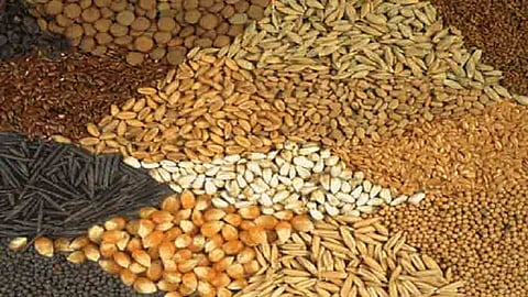 food grains hike wheat tur dal rates edible oil unseasonal rain hingoli agriculture