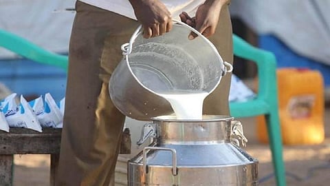 Milk Rates