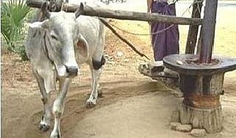 सर्वाधिक विक्रीत सरकी तेल २० वर्षे पहिल्या क्रमांकावर