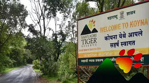Sahyadri Tiger Project