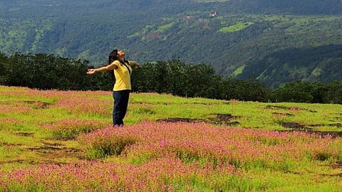 Kas flower plateau