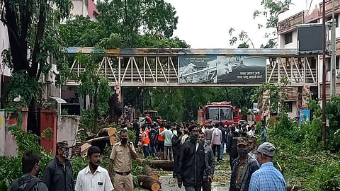 औरंगाबाद - महानगरपालिका मुख्यालयातील झाड कोसळल्याने तीन ते चार वाहनांचा चुराडा झाला आहे.

