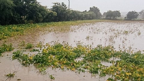 शेतकरी 