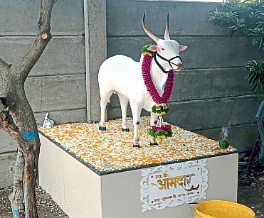 pune
