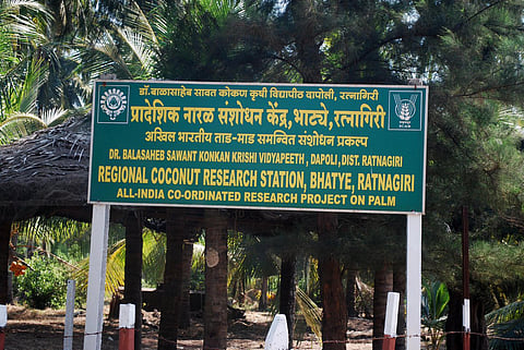 ratnagiri