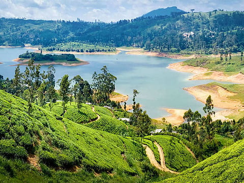 श्रीलंकेत सुट्या घालविण्यासाठी ही आहेत सर्वोत्तम ठिकाणे