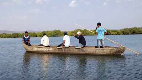 कांदळवन 