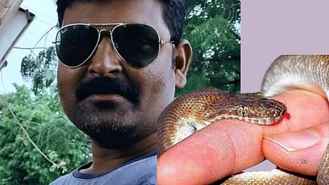 Snake Bite