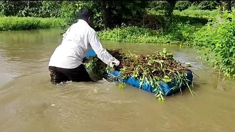 सेनगाव (जि.हिंगोली) : सेनगाव तालुक्यात  झालेल्या अतिवृष्टीने सोयाबीन पिकात पावसाचे पाणी जमा झाल्याने होडीवरून पीक गोळा करण्याची शेतकऱ्यांवर वेळ आली आहे.
