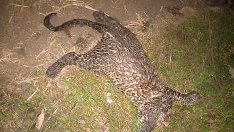 Bibat's body was found
