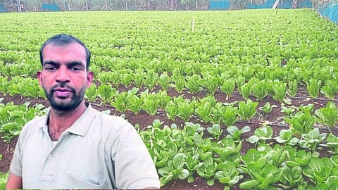 विदेशी भाजीपाल्यातून महिन्याला लाखोंची कमाई