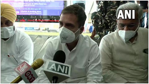Rahul Gandhi, 