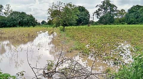 Beed : आधी दुष्काळ, आता अतिवृष्टीचा कहर