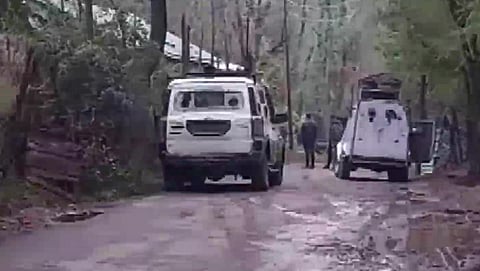 Kashmir