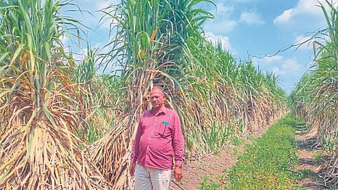 farmer
