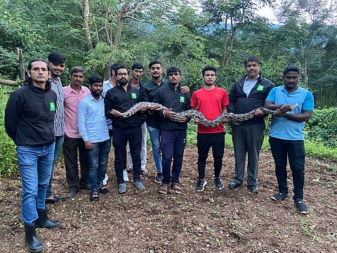 पिंपरीत नऊ फुटी अजगराला जीवदान 