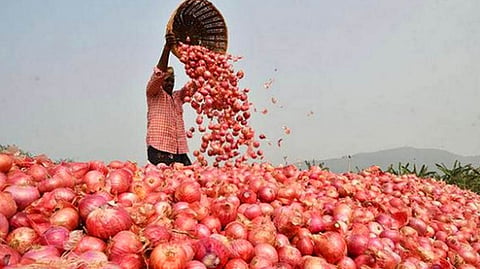 Onion 