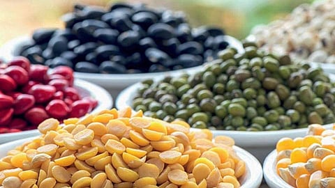 Oilseeds