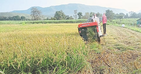 Satara