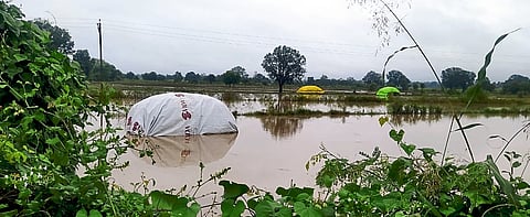 Rain