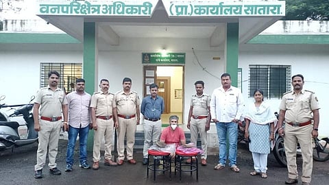 Satara Forest Department