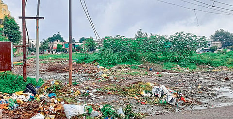  ‘बिन फ्री’च्या नादात शहरच झाले ‘डस्टबिन’