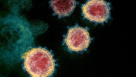 Omicron Virus
