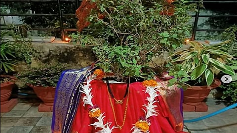 Tulsi Vivah 2022
