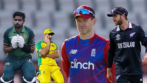 T20 World Cup semi finalist 