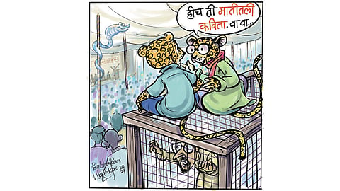 हौस ऑफ बांबू : पुंगी, पुस्तकं, पुढारी आणि…पिंजरा !