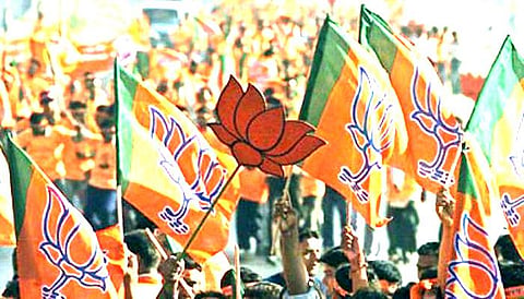 भाजप 