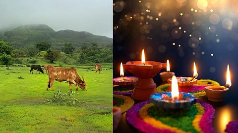 गुराख्यांची दिवाळी