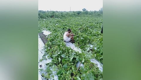 परतीच्या पावसामुळे शेतकऱ्यांना आर्थिक नुकसान 