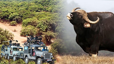 Dajipur Wildlife Sanctuary