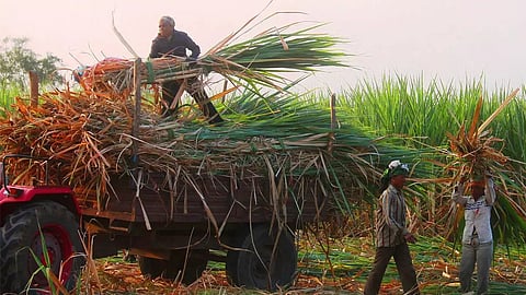 konkan