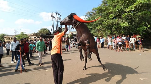 kolhapur