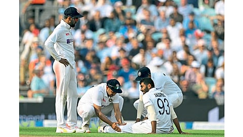 Cricket