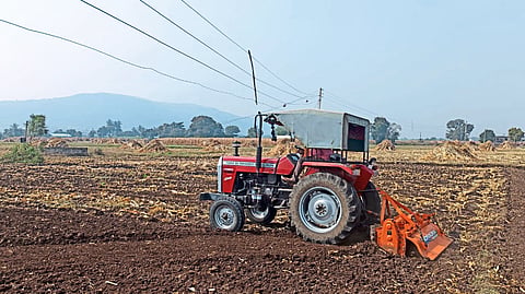 farming