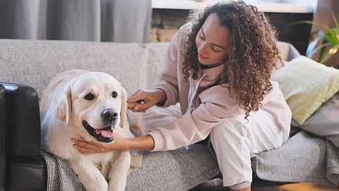 dog care