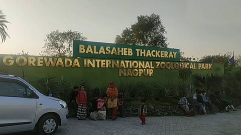 Gorewada International Zoo