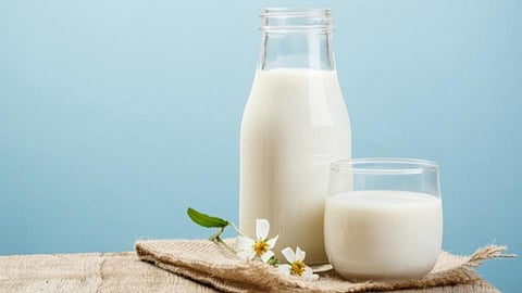 दूध (Milk)
