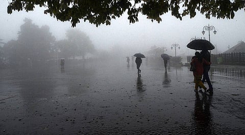 Maharashtra Weather Update Rainfall
