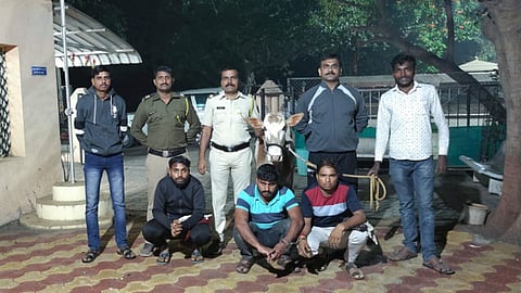 Pune Crime