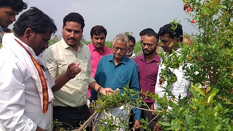 'शेतकऱ्यांनो, पीक पद्धत बदला अन्‌ डाळिब उत्पादक संघ तयार करा!'