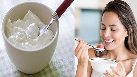 Curd Benefits