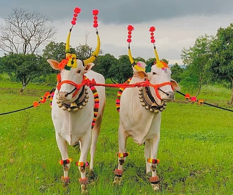 kolhapur 